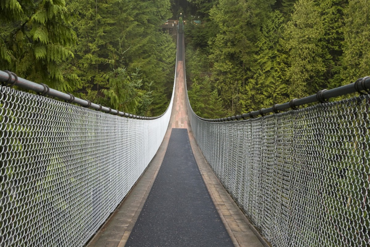 「capilano suspension bridge」的圖片搜尋結果