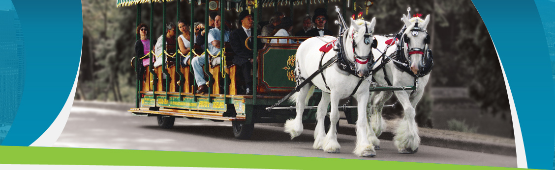 Stanley Park, horse, tours, nature
