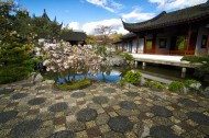 Beauty Under Foot - Chinese Garden - Julius Reque.jpg