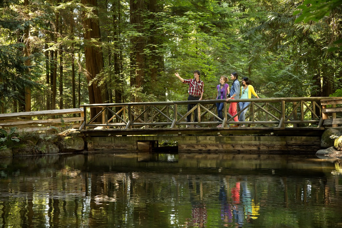 Capilano Suspension Bridge