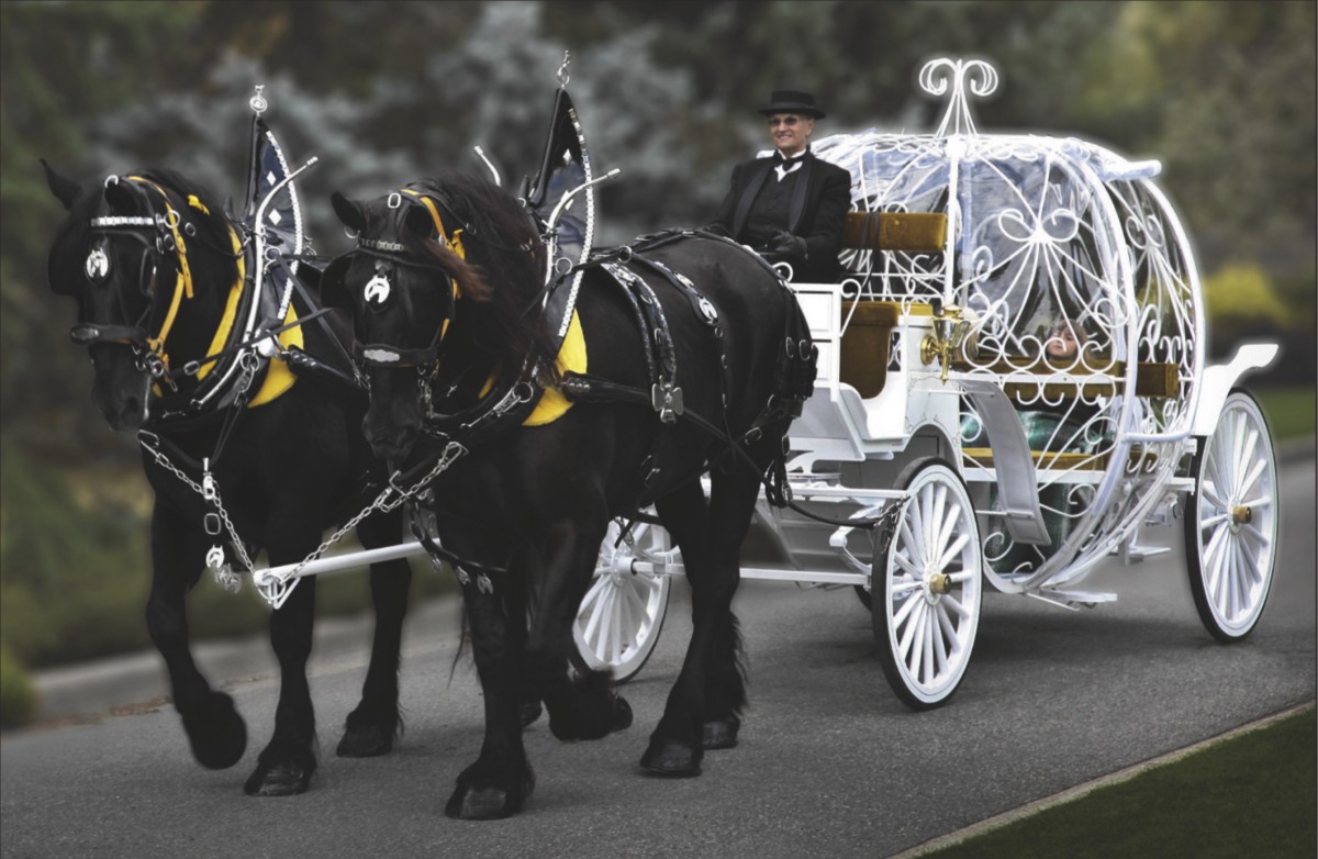 stanley park horse drawn carriage