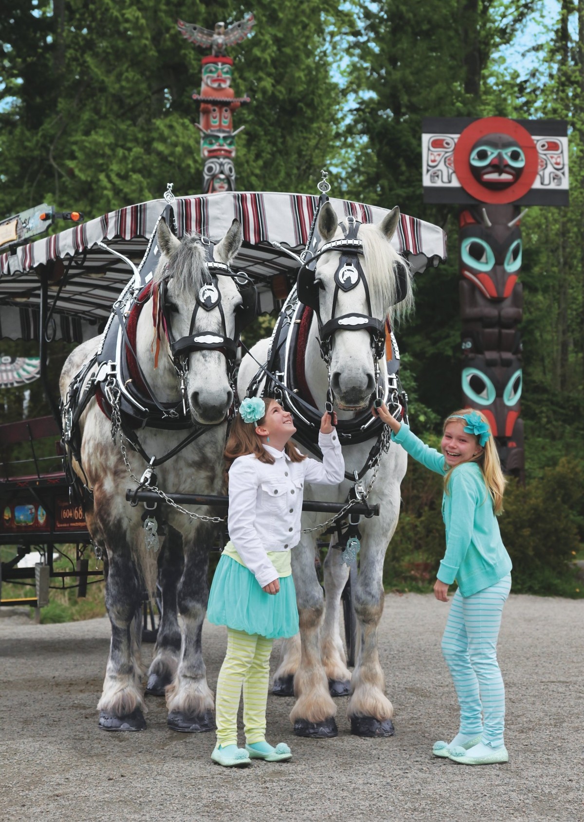 horse tour vancouver