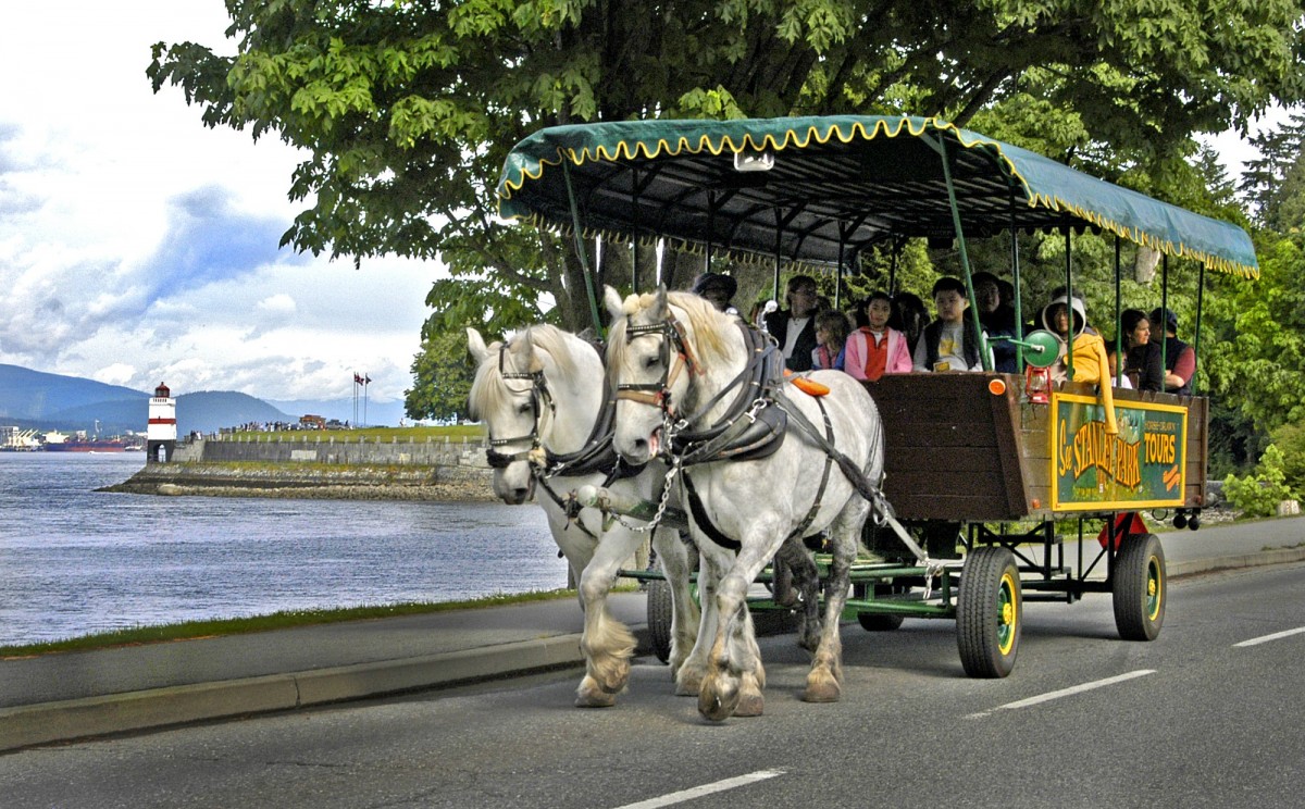 stanley park horse drawn carriage