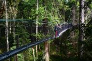 canopy, walkway, greenheart, ubc