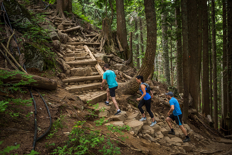 Grouse Grind  Grouse Mountain - The Peak of Vancouver